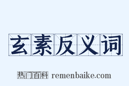 玄素反义词是什么意思的图片